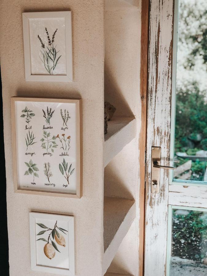 בית הארחה כליל 	Casa Sol מראה חיצוני תמונה